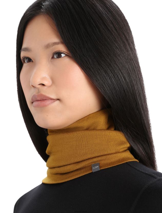 Icebreaker Unisex Merino Apex ChuteClove 80BXXP455 Accessories