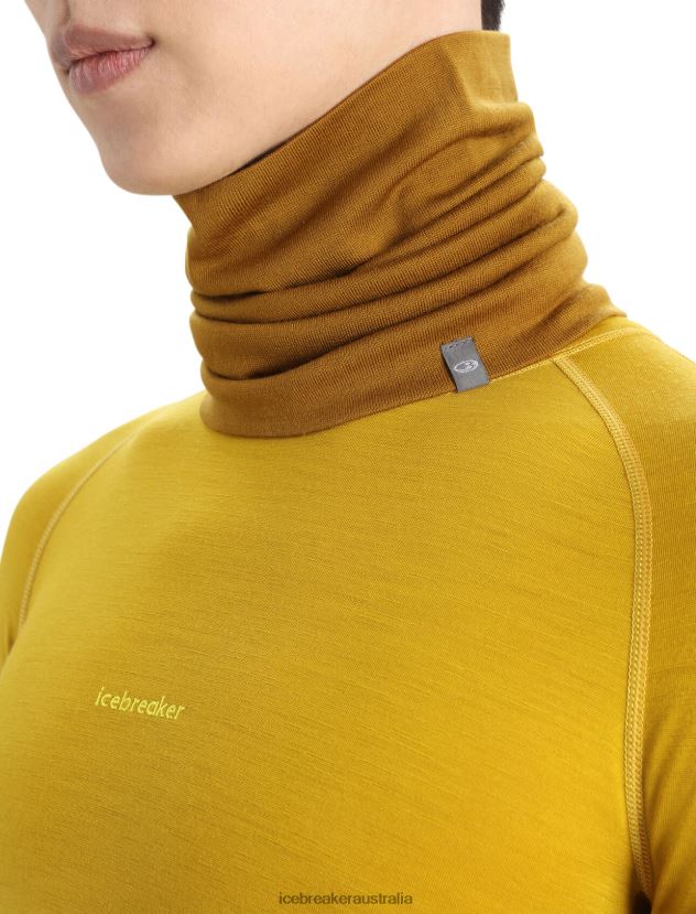 Icebreaker Unisex Merino Apex ChuteClove 80BXXP455 Accessories